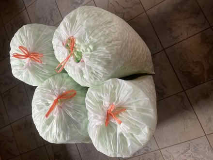 Photo of free Packing material ‘popcorn’ (Northcourt OX14) #1