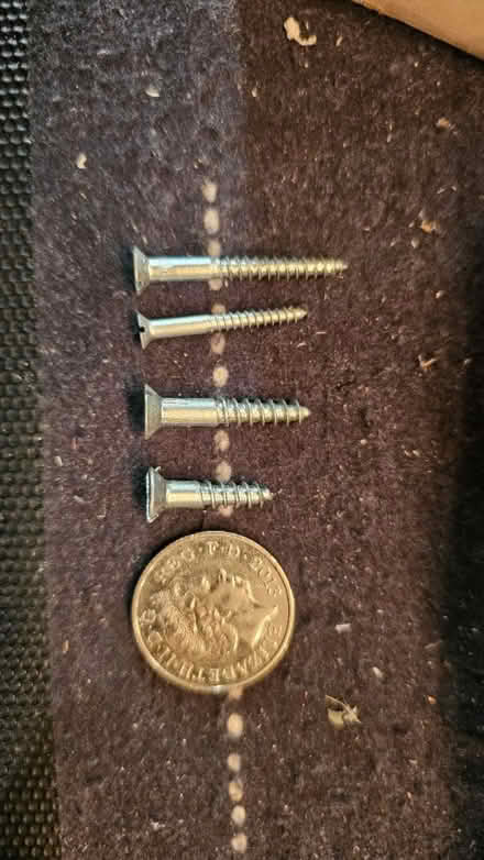 Photo of free Flat head screws (GU73) #2