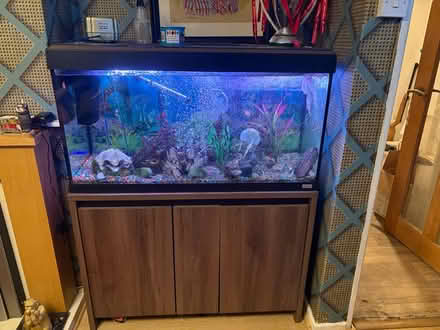 Photo of free Fish tank (gobowen) #1