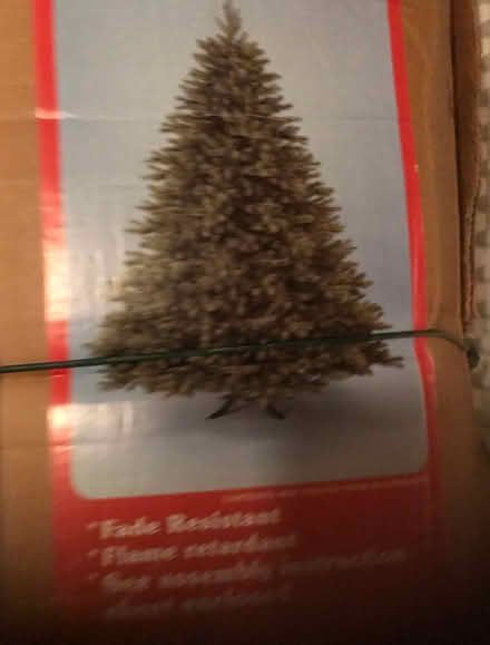 Photo of free 6foot Christmas try (St Johns) #1