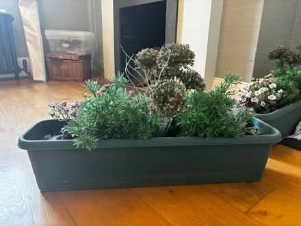 Photo of free Window boxes x2 (CT10) #1