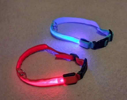 Photo of free Dog accessories (LE2) #1