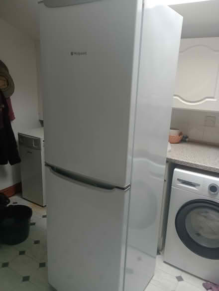 Photo of free Freestanding Fridge / freezer (Welland WR13) #2