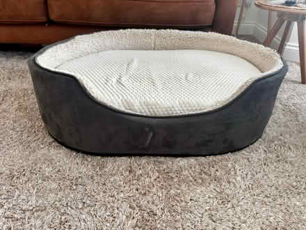 Photo of free Dog bed (Belper DE56) #1