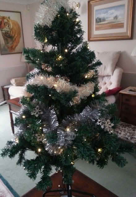 Photo of free Xmas Tree (Bawdrip TA7) #1