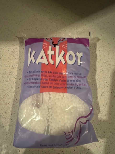 Photo of free Katkor (Coalpit Heath BS36) #1