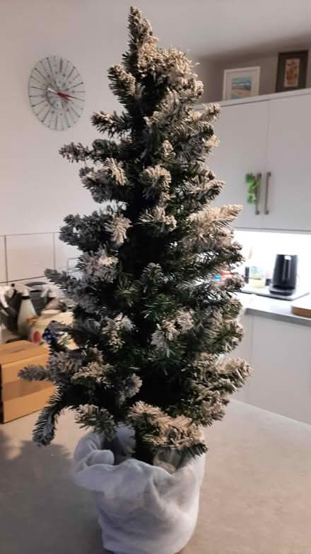Photo of free 3ft christmas tree (peacehaven) #2