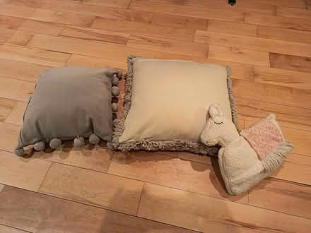 Photo of free 2 cushions (Dundrum) #2