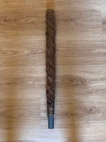Photo of free Plant support moss pole (Glasgow G20) #1