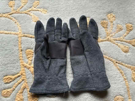 Photo of free Gray fleece gloves (Rainier Valley/Brighton) #1