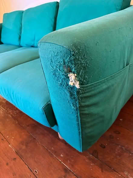 Photo of free IKEA sofa (BN15) #3