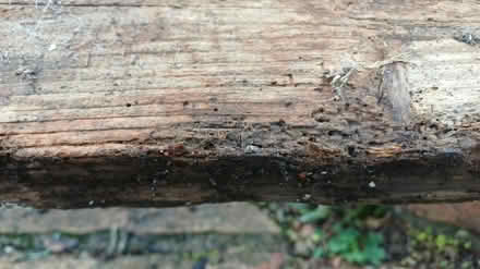Photo of free Long length wood plank (heworth york) #3