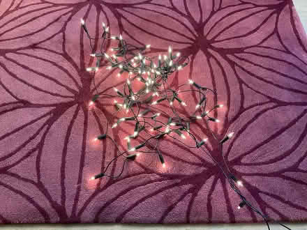 Photo of free Fairy lights (Ashford, Surrey TW15) #1