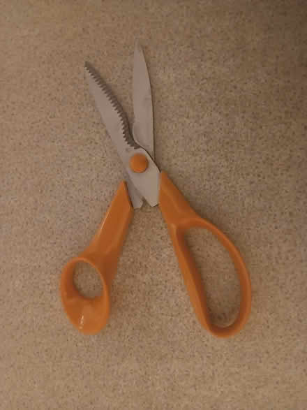 Photo of free Fiskars scissors has rust spots, for crafts? Or .. (Westbury Fields BS9) #3