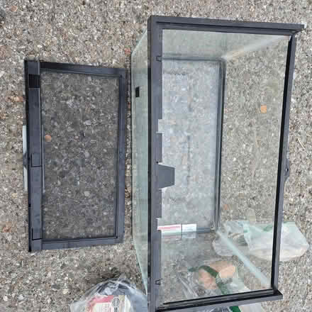 Photo of free Terrarium (Chiquita Av MtnVw) #2