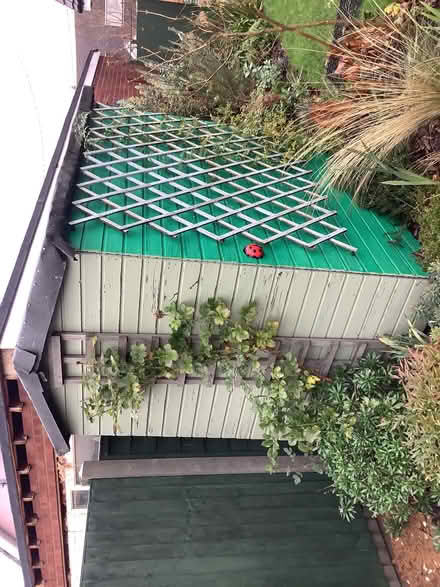 Photo of free Old shed 4x6 (Hullbridge SS5) #3