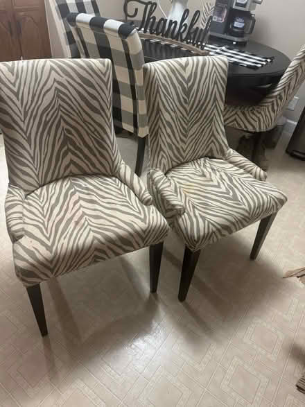 Photo of free 4 Dining Chairs need cleaned (Ross) #1