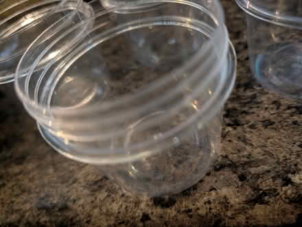 Photo of free Yogurt Pots (Allendale NJ) #2