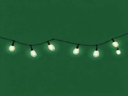 Photo of free Fairy lights (Mawdesley L40) #1