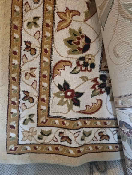 Photo of free Large Rug (Northumberland Park NE270BX) #1