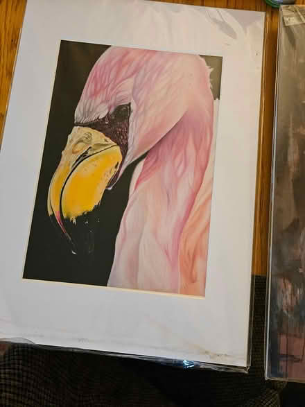 Photo of free 3 Prints by Mia Hawk (Earlswood RH1) #2