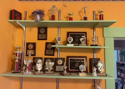 Photo of free Wall Shelf (attached to wall!) (Ludlow ky) #1