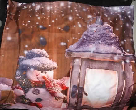 Photo of free Snowman pillow cover (Mavis and Rathburn) #1
