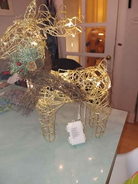 Photo of free Led sparkly flashing reindeer (Bruntsfield EH10) #2