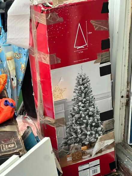 Photo of free Christmas tree (E2 8sa) #1