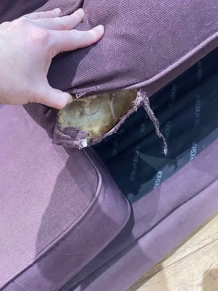 Photo of free Sofa bed (Shepton Mallet BA4) #4