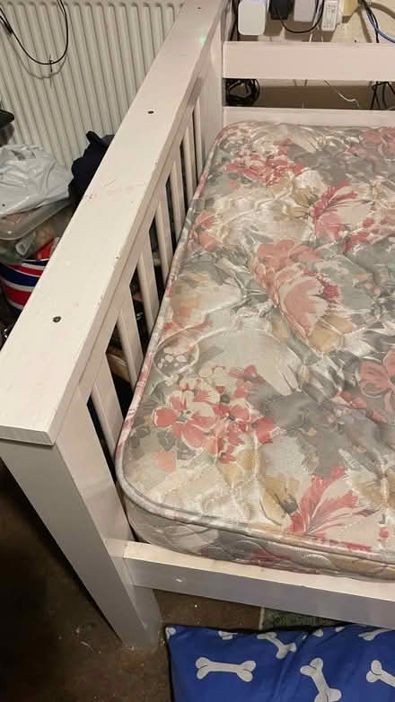 Photo of free Single bed and mattress (Underdale SY2) #2