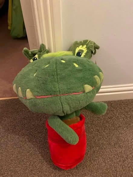 Photo of free Large Venus FlyTrap (Hucclecote GL3) #1