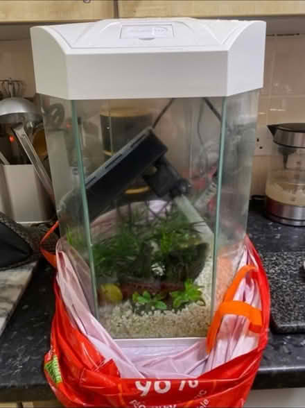 Photo of free Electric Fish Tank (Cheshunt En8) #1