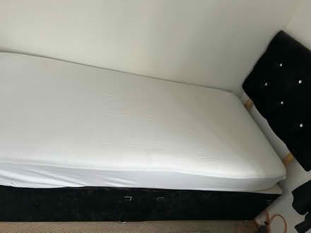 Photo of free Black Velvet Single Bed (TN28) #3