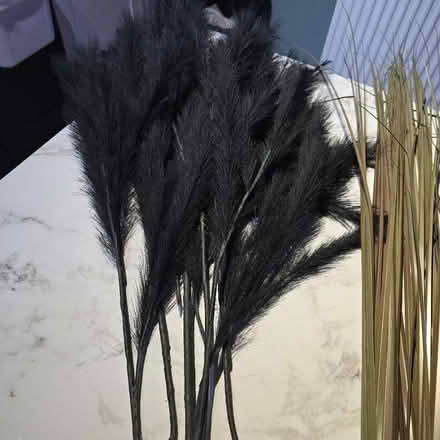 Photo of free Decorative reeds (Greenwich Peninsula SE10) #1