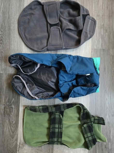 Photo of free Small dog coats (Burtonsville) #2
