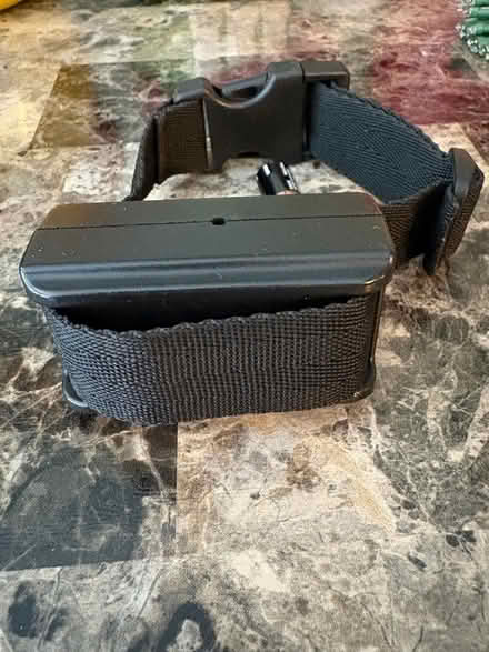 Photo of free Barking collar (canton) #1