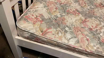 Photo of free Single bed and mattress (Underdale SY2) #4