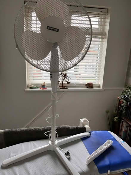 Photo of free Floor fan working (Allenton Derby DE24) #1