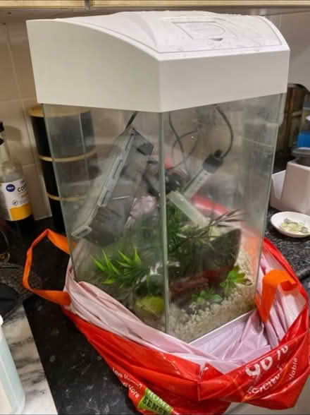Photo of free Electric Fish Tank (Cheshunt En8) #3