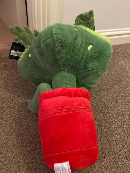 Photo of free Large Venus FlyTrap (Hucclecote GL3) #3