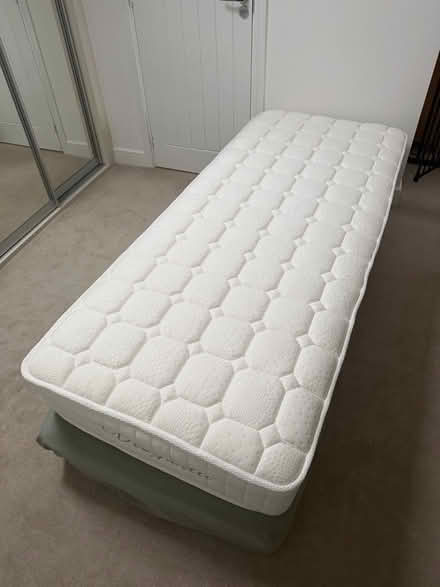 Photo of free 2 x single mattress (White Hills) #2