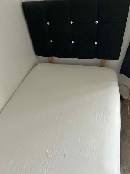 Photo of free Black Velvet Single Bed (TN28) #4