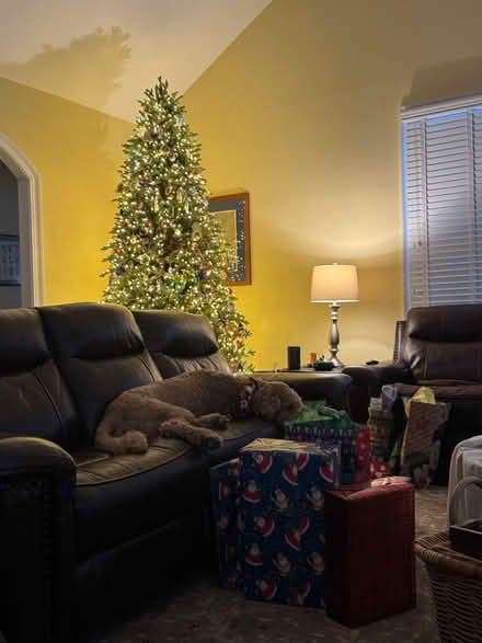 Photo of free 9’ Christmas tree (Wexford Leas, Cherry Hill) #1