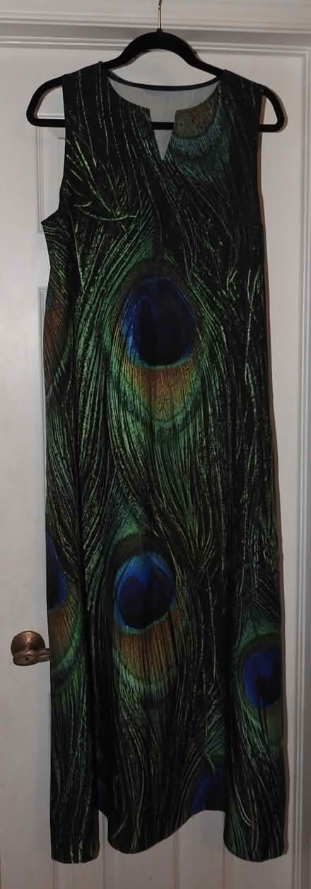 Photo of free Peacock Dress (Mavis and Rathburn) #1