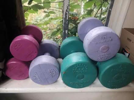 Photo of free Dumbells (West End Woking) #1