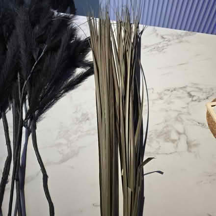 Photo of free Decorative reeds (Greenwich Peninsula SE10) #2