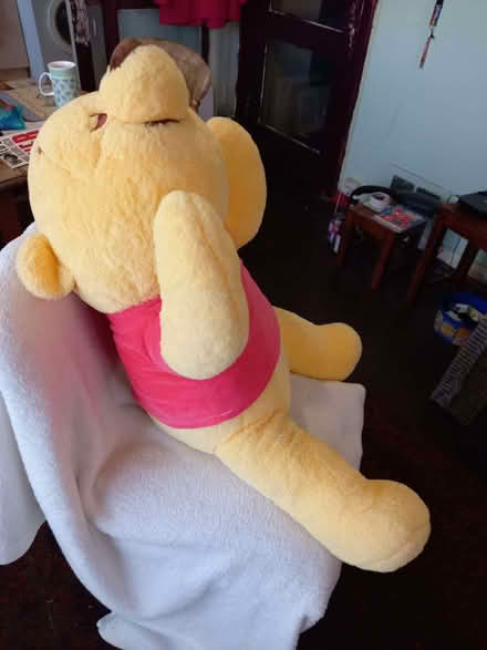 Photo of free large yellow teddy (Southwick BN42) #2