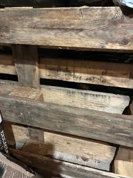 Photo of free 2 wooden pallets (Billericay) #2
