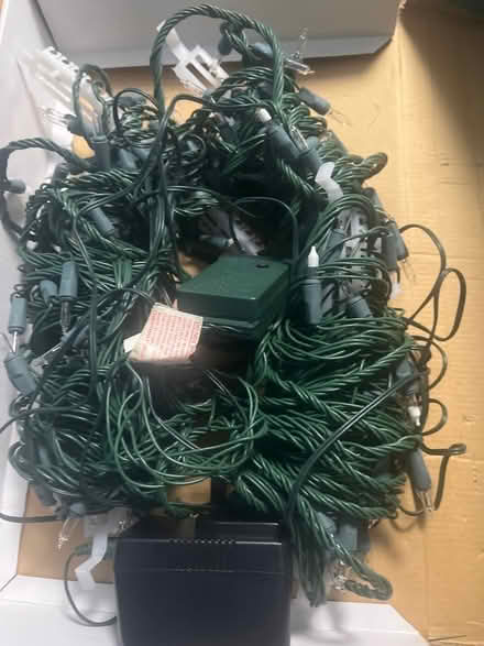 Photo of free Christmas tree lights (Harrogate HG2) #2